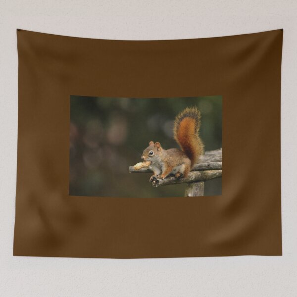 Item preview, Surprised Red Squirrel With Peanut designed and sold by Debbie Oppermann.