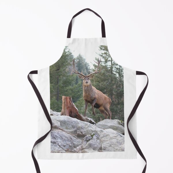 Item preview, Red deer stag in autumn designed and sold by James Cumming.
