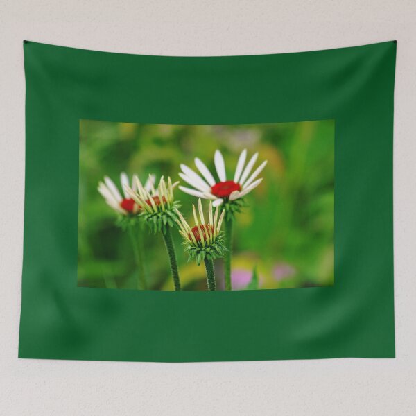 Item preview, Echinacea designed and sold by Debbie Oppermann.