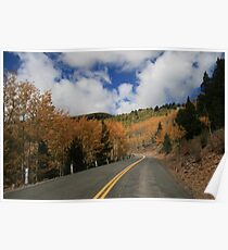 Ski Run Road on Sierra Blanca, Ruidoso New Mexico Poster