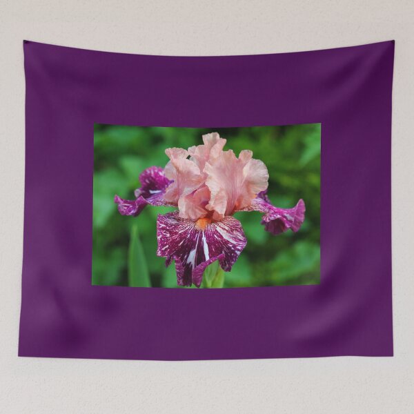 Item preview, She's A Lady - Iris designed and sold by Debbie Oppermann.