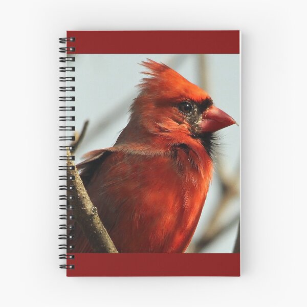 Item preview, Windblown Northern Cardinal designed and sold by Debbie Oppermann.