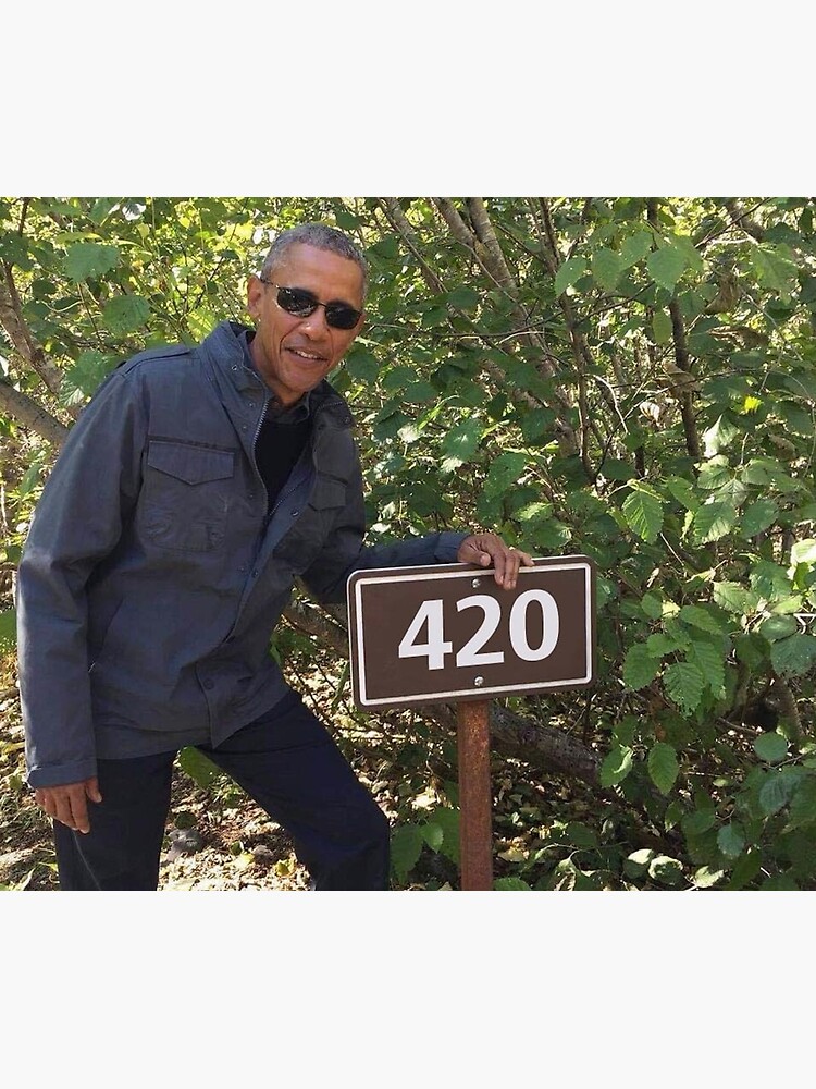 420 Obama Print by budgetnudest