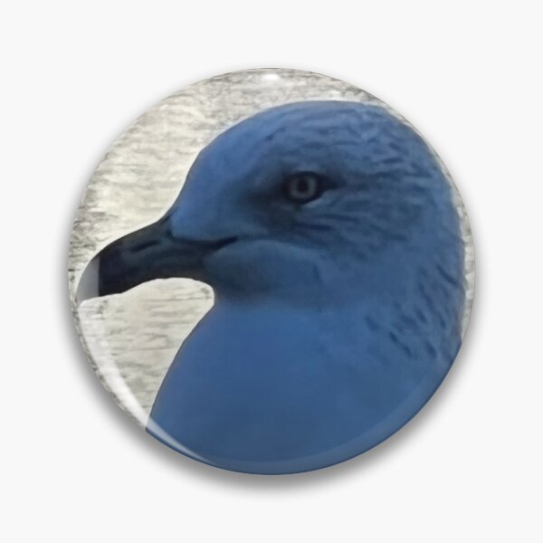 Item preview, Seagull photo, Bird, Harbor designed and sold by DebbieJoyArt.