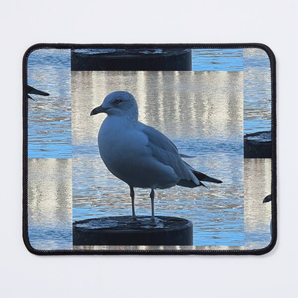 Item preview, Seagull photo, Bird, Harbor designed and sold by DebbieJoyArt.