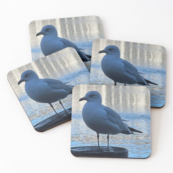 Item preview, Seagull photo, Bird, Harbor designed and sold by DebbieJoyArt.