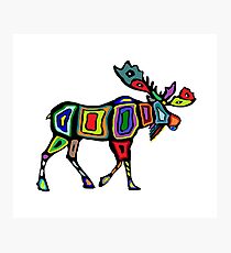 Marked Territory Photographic Print