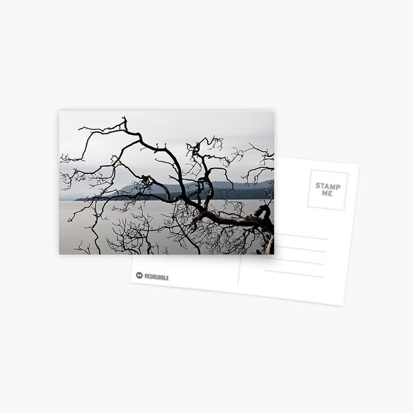 Item preview, Aerie designed and sold by David Friederich.