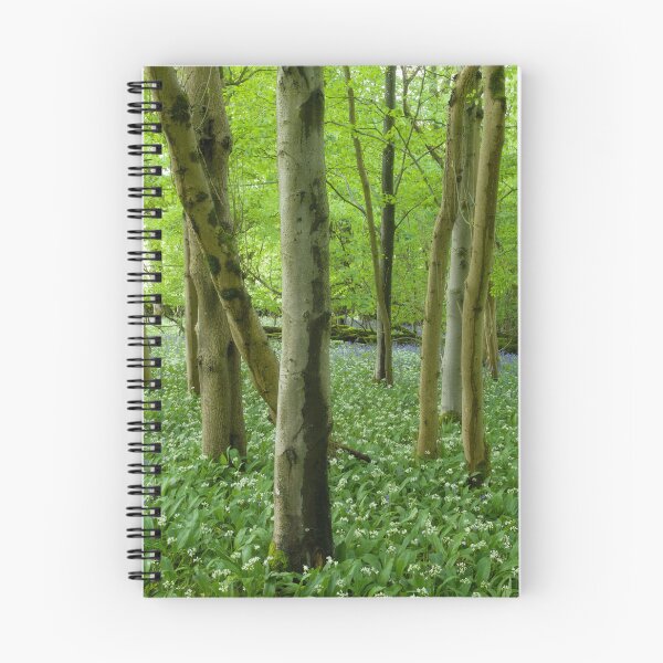 Item preview, Wild Garlic Woodland designed and sold by Craig Joiner.