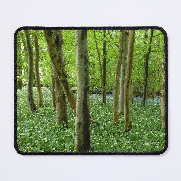 Item preview, Wild Garlic Woodland designed and sold by Craig Joiner.