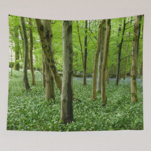 Item preview, Wild Garlic Woodland designed and sold by Craig Joiner.