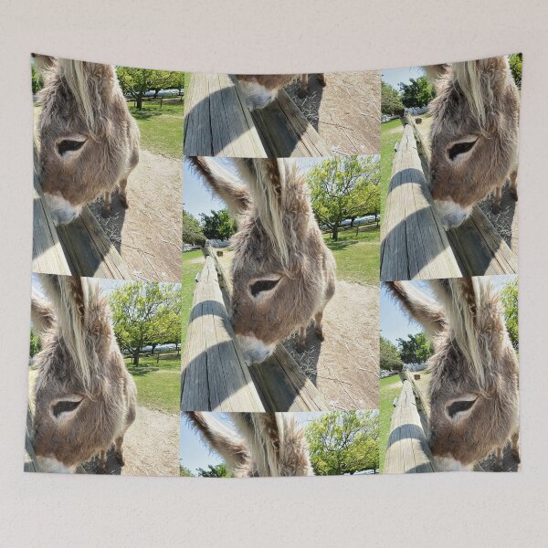 Item preview, Donkey photograph, Touch by an angel designed and sold by DebbieJoyArt.
