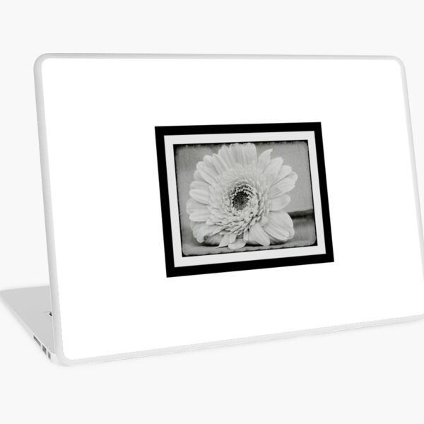 in a peaceful place.... Laptop Skin