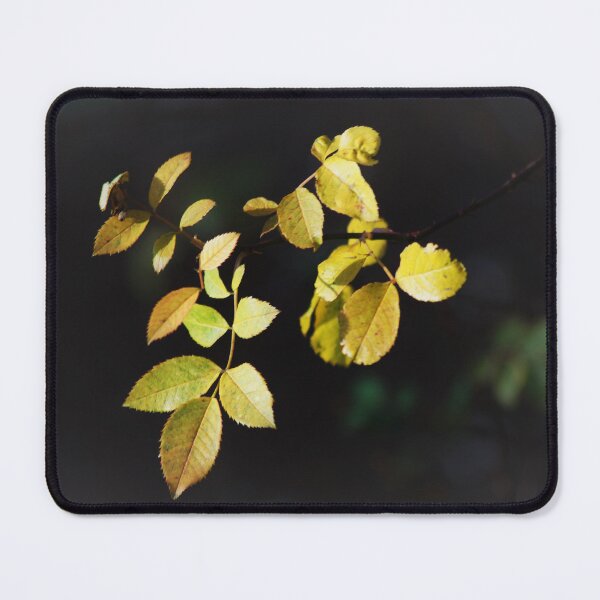 Item preview, Standing out designed and sold by ron adams.