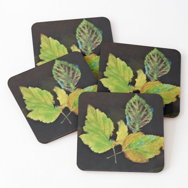 Item preview, Trio of beauty designed and sold by ron adams.