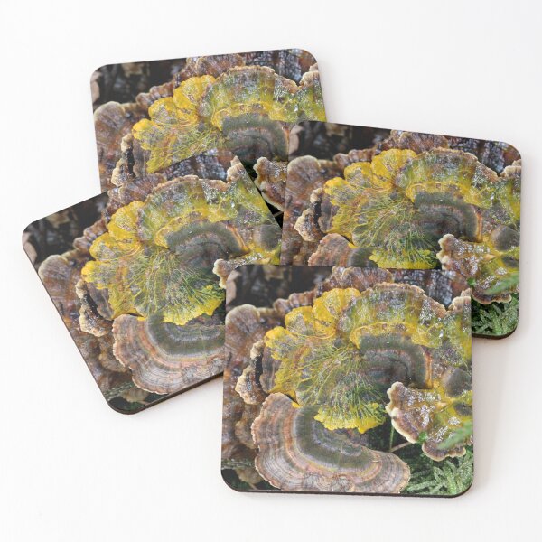Item preview, Nature's Splash Art designed and sold by cuprum.