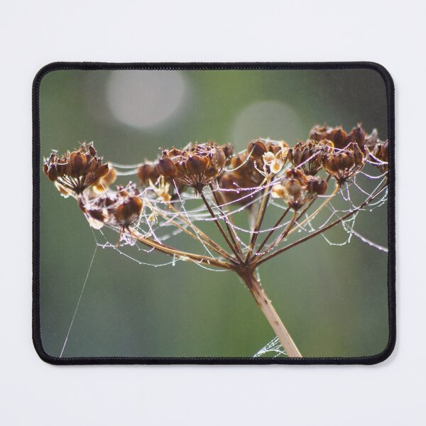 Item preview, Misty morning designed and sold by ron adams.