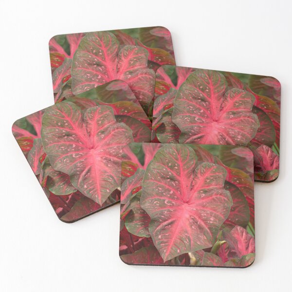 Item preview, Red Flash Caladium leaves designed and sold by Zina Stromberg.