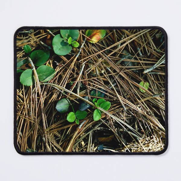 Item preview, Newport Beach  designed and sold by CineCouture.