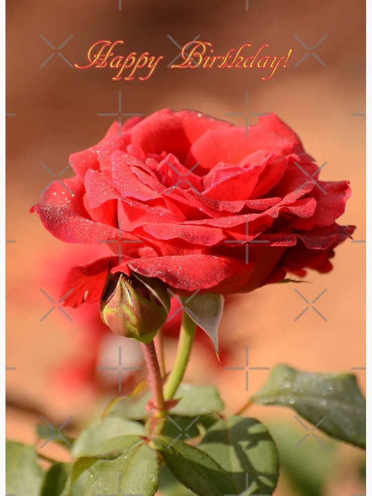 Happy Birthday with Red Rose  Happy birthday roses images, Birthday wishes  flowers, Happy birthday greetings