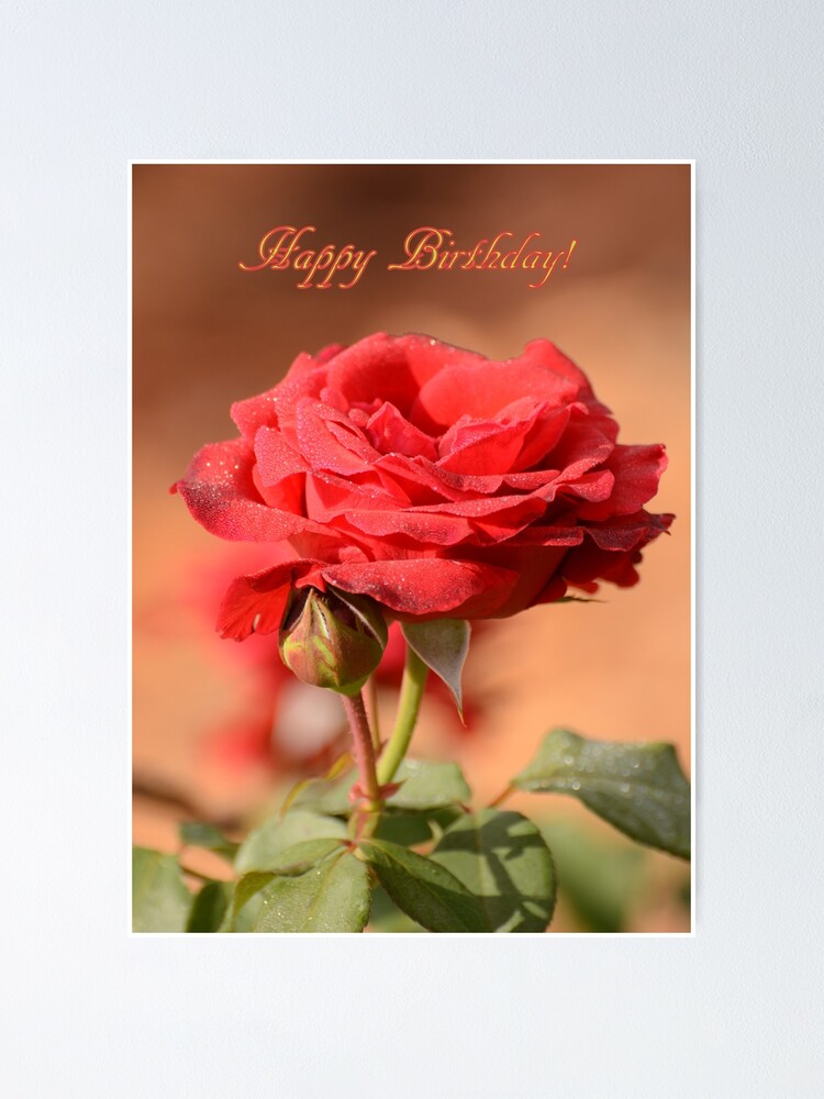 ☆、happy rose様ご購入苗✿㉕-294㉕-352㉕-429㉕-550 PINK HOUSE / Flower Picnicのローンタブリエ F 赤 Y-25-10-07