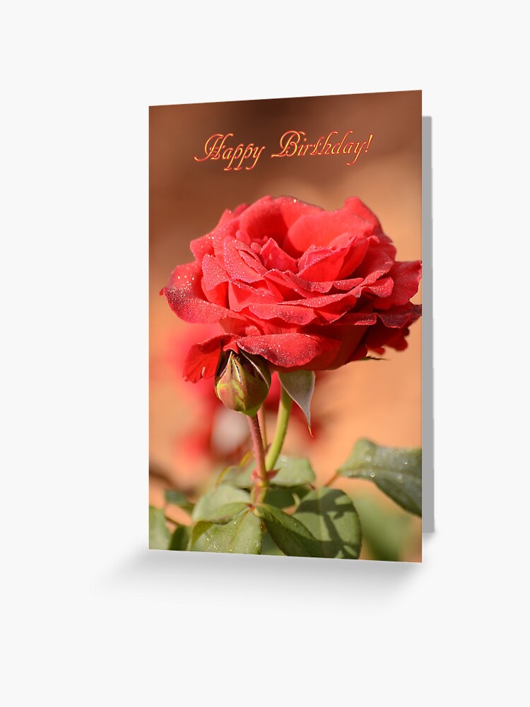 Happy Birthday Greetings card - Rose Bouquet In Lilacs Greeting