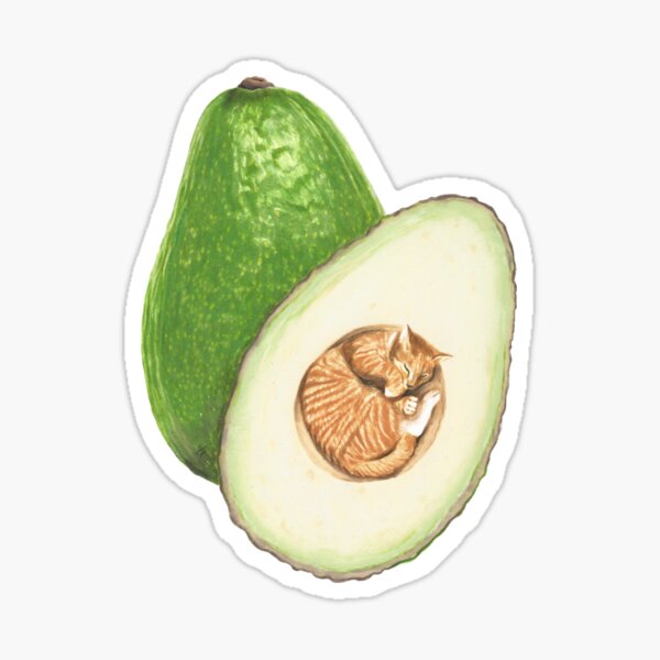AvoCATo Sticker