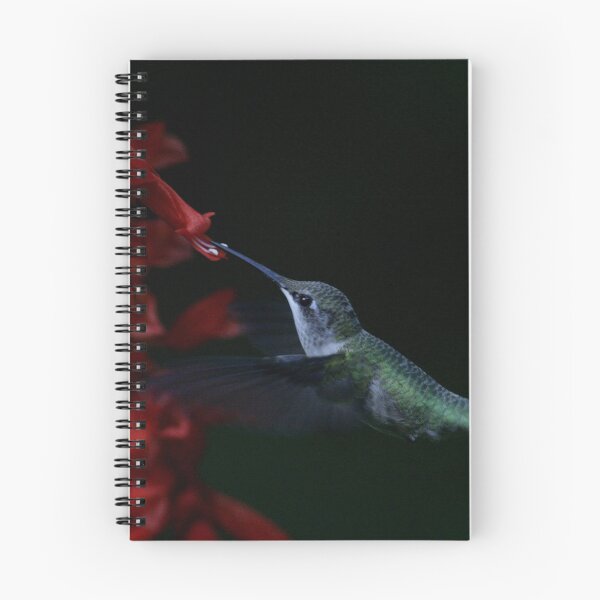 Item preview, Ruby Throated Hummingbird designed and sold by Enola Gay Wagner.