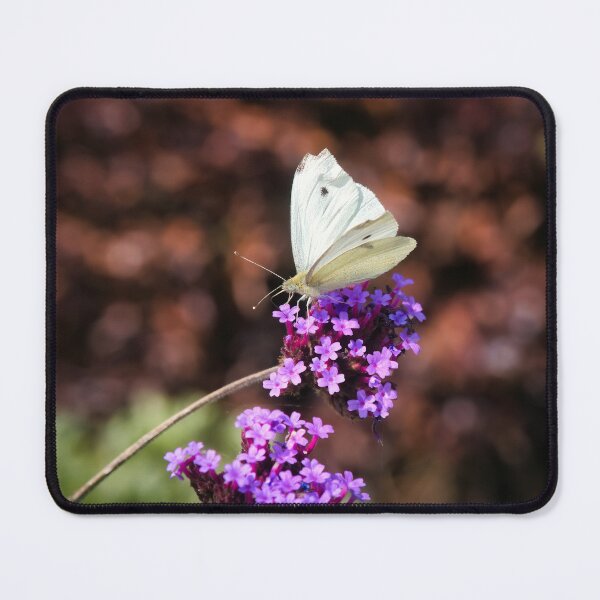 Item preview, White Butterfly on Buddleia Bush designed and sold by Dorset Girl.
