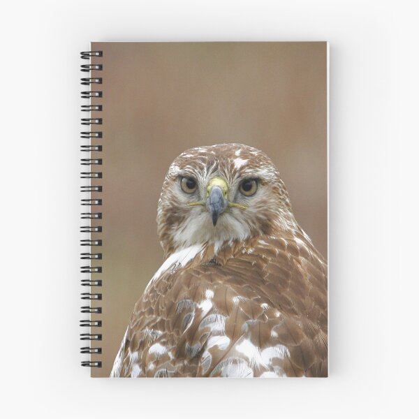 Item preview, Redtail Hawk designed and sold by Enola Gay Wagner.