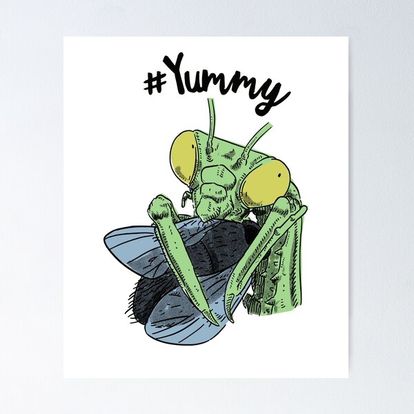 Item preview, Insect Enthusiast Yummy Praying Mantis designed and sold by ZzCorezZ.