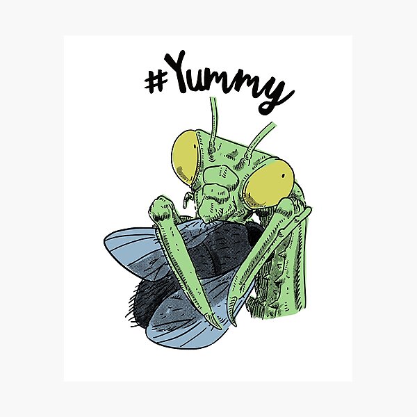 Item preview, Insect Enthusiast Yummy Praying Mantis designed and sold by ZzCorezZ.
