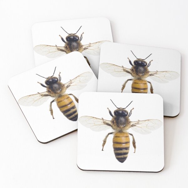 Item preview, Abeja designed and sold by EndangeredFotos.