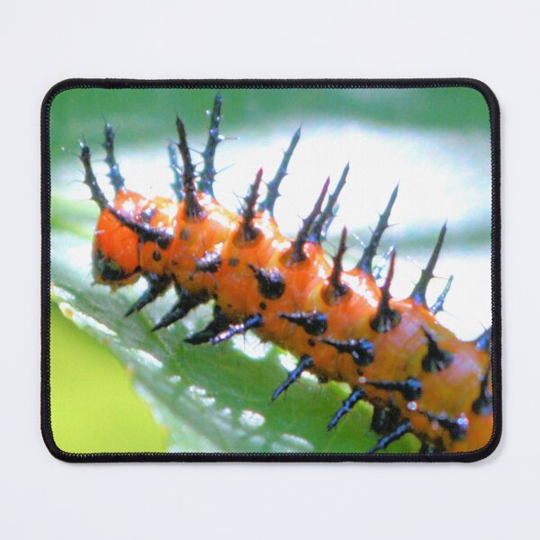 Item preview, Gulf Fritillary Caterpillar  designed and sold by What I See by Dawne.