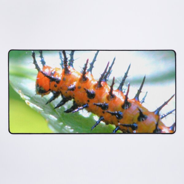 Item preview, Gulf Fritillary Caterpillar designed and sold by What I See by Dawne.