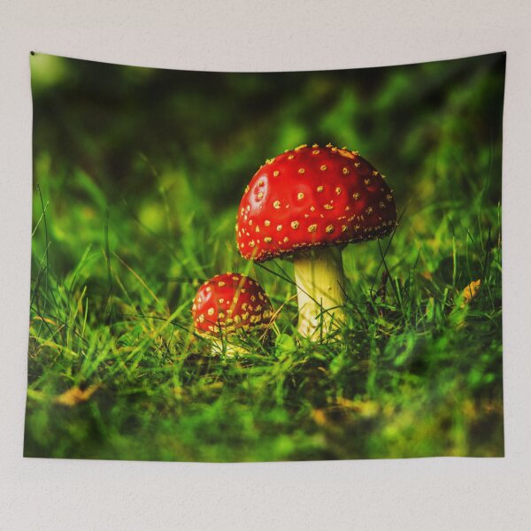 Item preview, Fly Agaric designed and sold by LluniauDafyddEm.