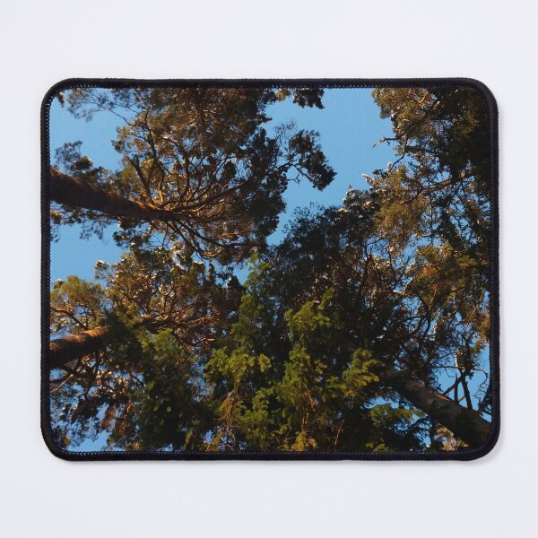 Item preview, Forest view from ground designed and sold by GoxDesign.