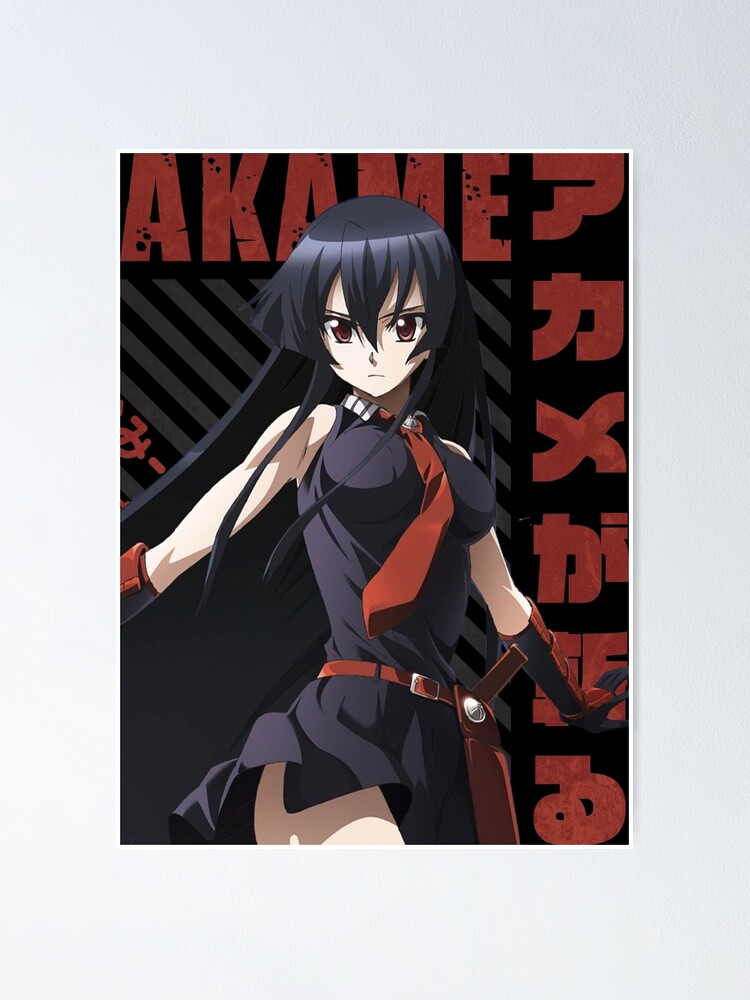 Bundle 8 - High-School DxD factory Manga Series and Akame-Ga-Kill Anime Girl T-Shirt