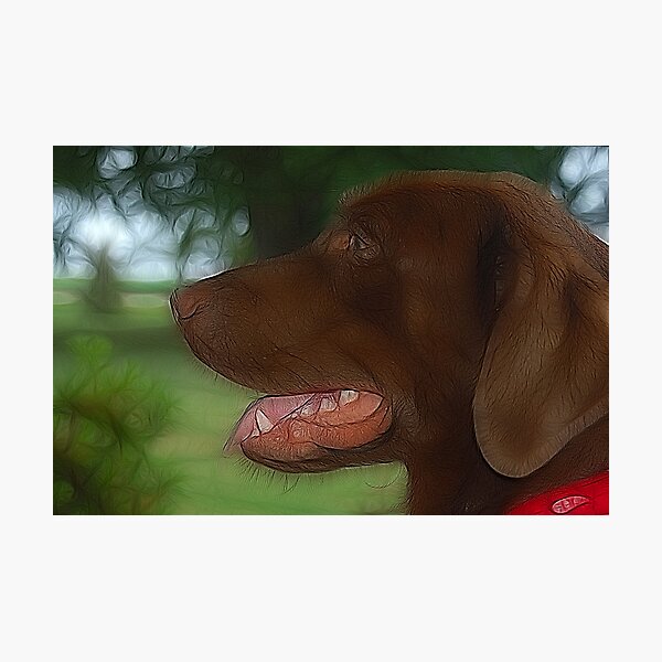 Item preview, Clyde designed and sold by Angel Perry.