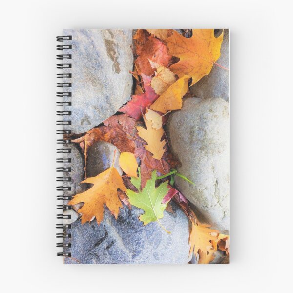 Item preview, Seasons of Change designed and sold by KBarrett-ForAwe.