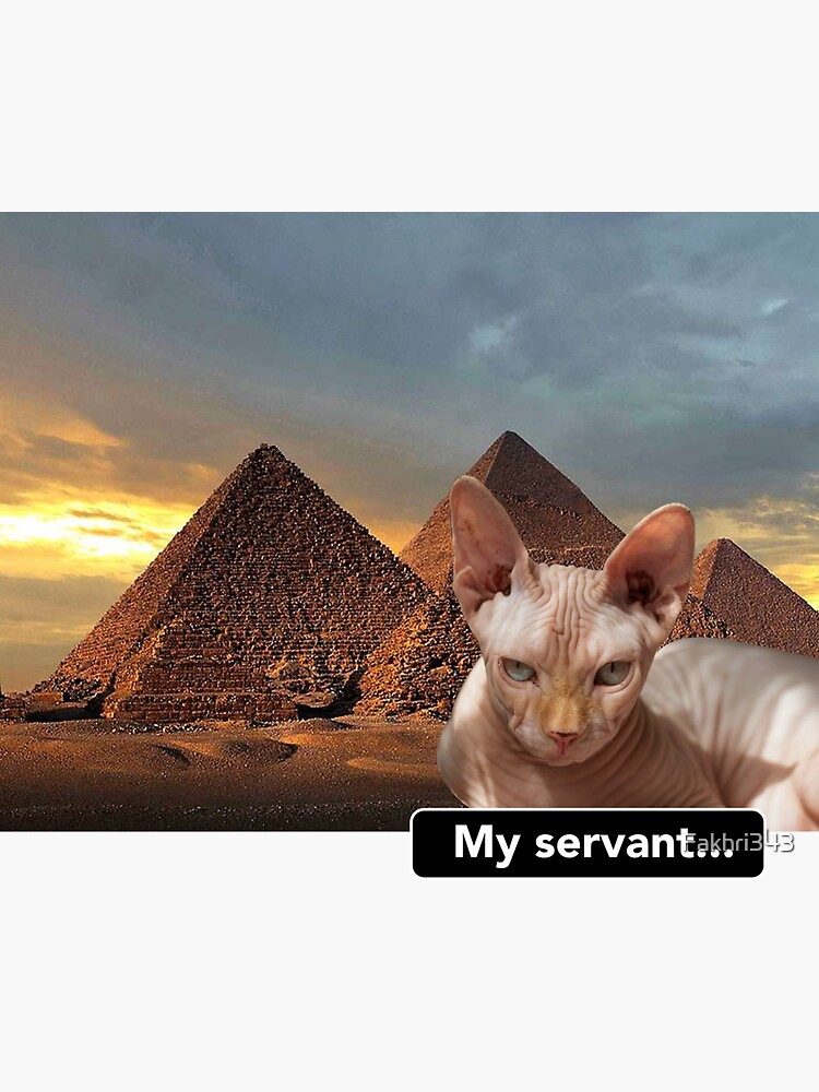 "Egyptian Sphynx cat near pyramids" Sticker for Sale by Fakhri343