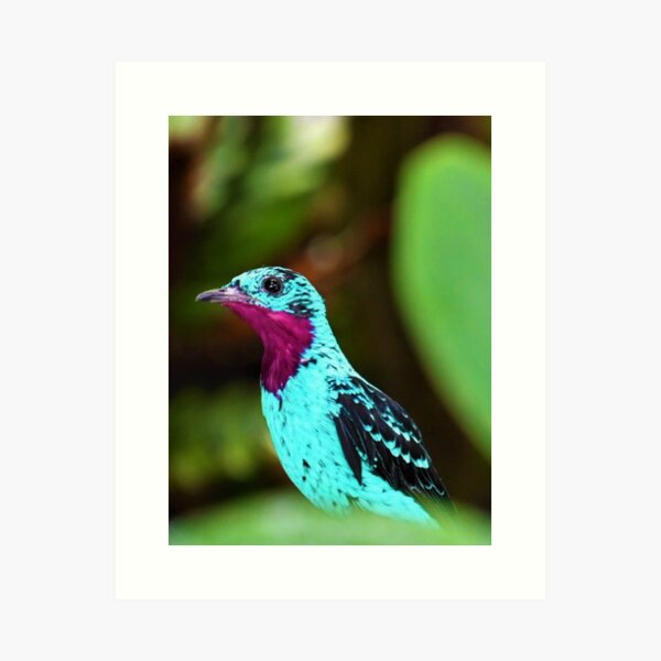 Blank Teal Wall Art for Sale Redbubble