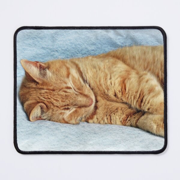 Item preview, Sleepy Kitty designed and sold by Frankie Cat Photography.