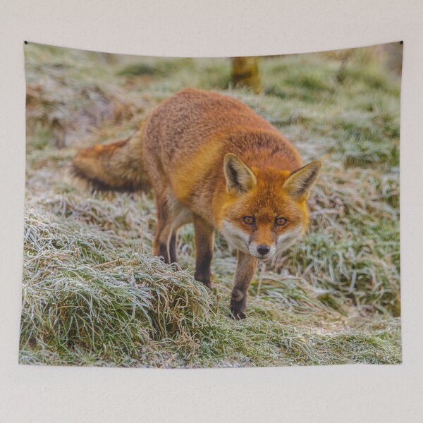 Item preview, Frosty fox  designed and sold by Dalyndigital Photography.