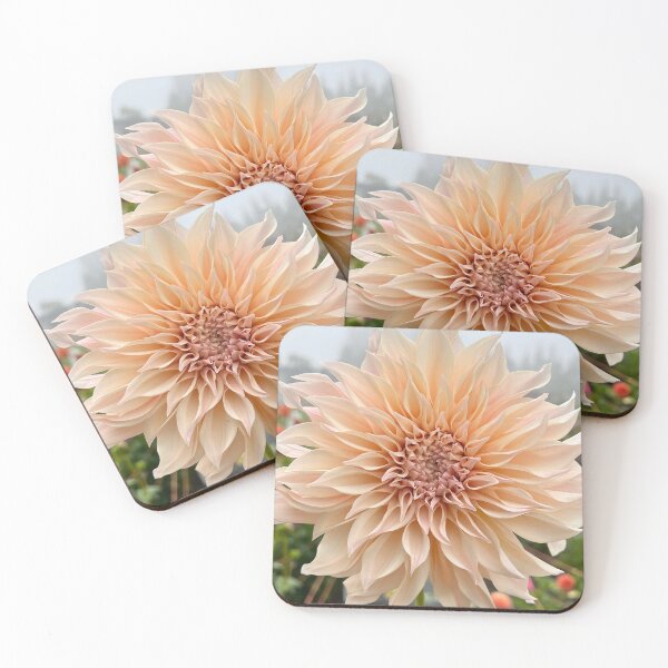Item preview, Cafe Au Lait Dahlia Flower - Blush Dahlia Flower designed and sold by idlewildblooms.