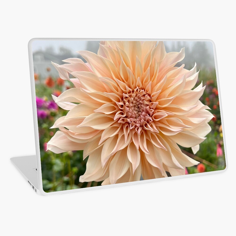 Item preview, Laptop Skin designed and sold by idlewildblooms.