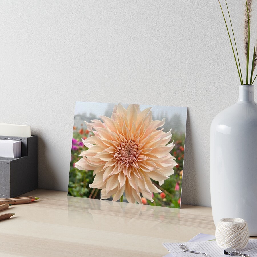 Item preview, Art Board Print designed and sold by idlewildblooms.