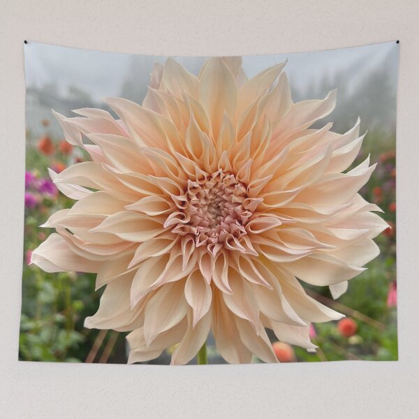 Item preview, Cafe Au Lait Dahlia Flower - Blush Dahlia Flower designed and sold by idlewildblooms.