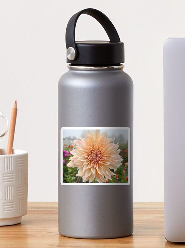 Thumbnail 1 of 3, Sticker, Cafe Au Lait Dahlia Flower - Blush Dahlia Flower designed and sold by idlewildblooms.