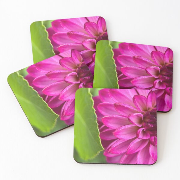 Item preview, Robert Too Dahlia Flower - Purple Dahlia Flower designed and sold by idlewildblooms.